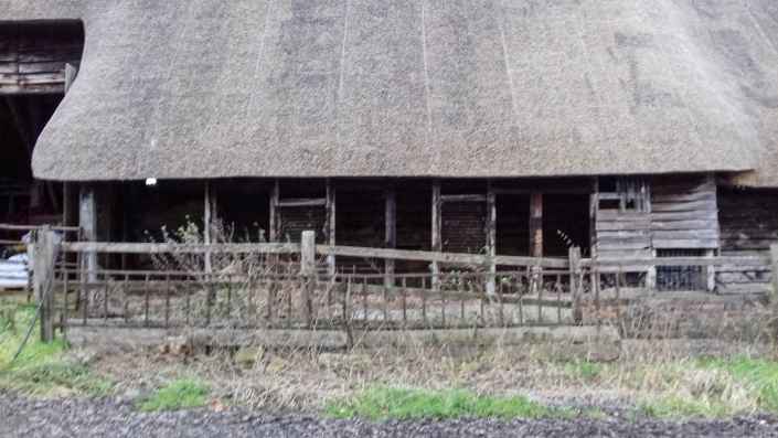 Large Timber Structures